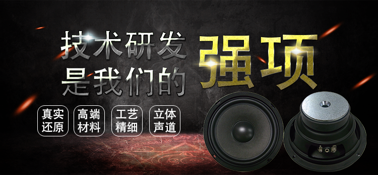 6.5寸专业HiFi音箱喇叭