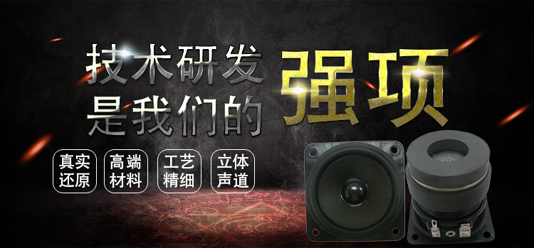 2.5寸（56*56mm）寸方形纸盆/橡胶边铁氧体外磁双磁10W全频多媒体音箱喇叭